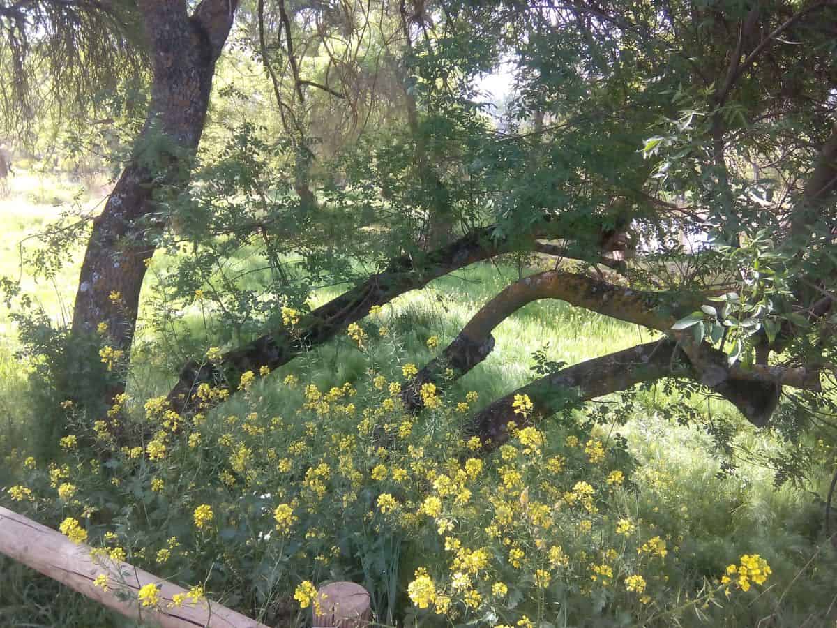 Rio-Alagón-hacia -Batuecas