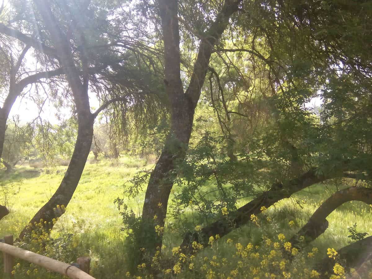 Rio-Alagón-hacia -Batuecas