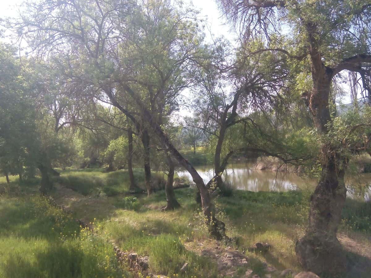 Rio-Alagón-hacia -Batuecas