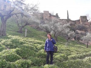 Ronda_muralla_árabe