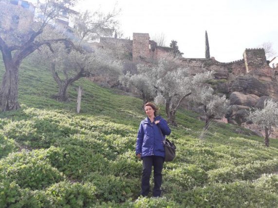 Ronda_muralla_árabe