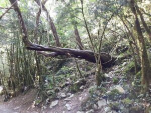 valles_de_leyenda_en_el_pirineo_aragonés_marcosplanet