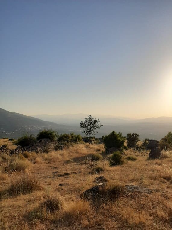 Machota_Baja_Guadarrama