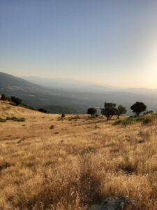 Machota_baja_guadarrama